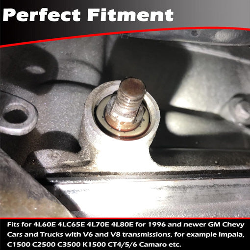 Transmission Shifter Seal Remover & Installer