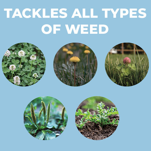 3-Level Adjustable Quick Release Weed Remover