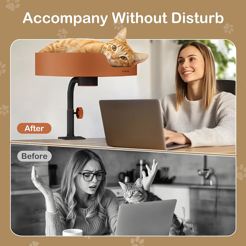 Cat Desk Bed