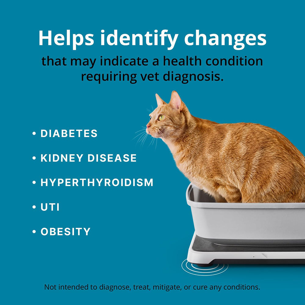 Smart Litterbox Health Monitoring System for Cat Health