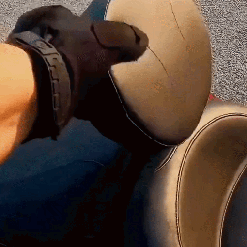 Adjustable Plug-in Driver Rider Backrest Kit for Harley