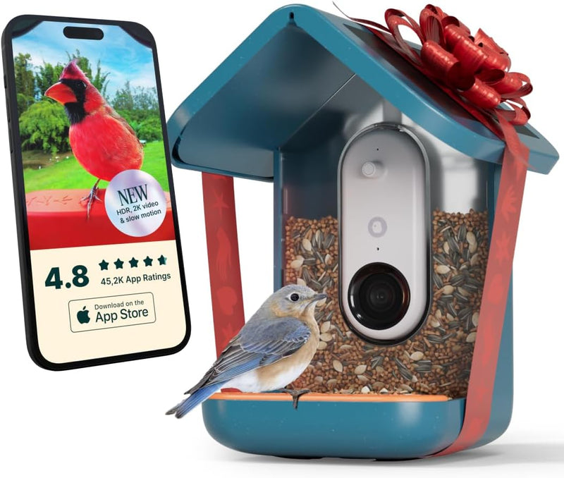 Bird Feeder with Camera