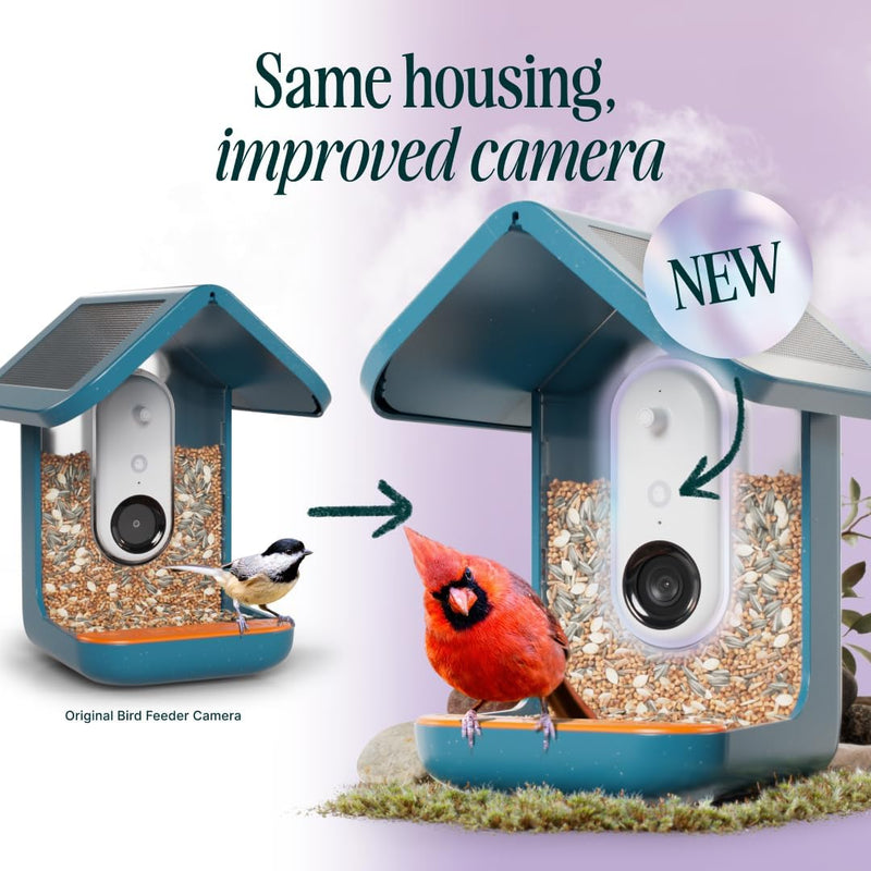 Bird Feeder with Camera