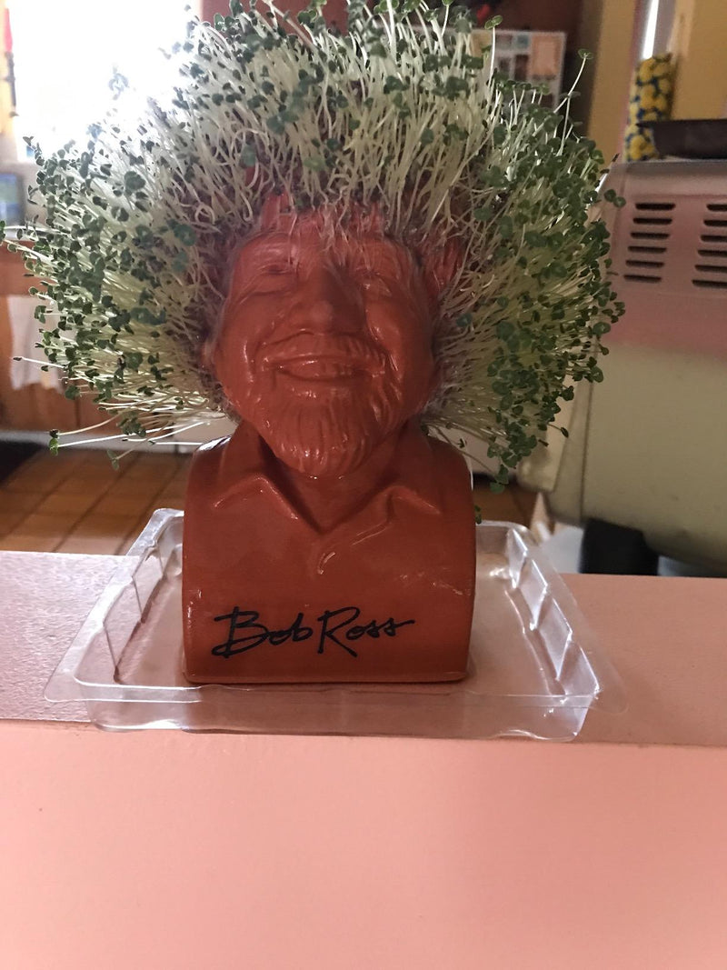 Chia Pet Decorative Pottery Planter