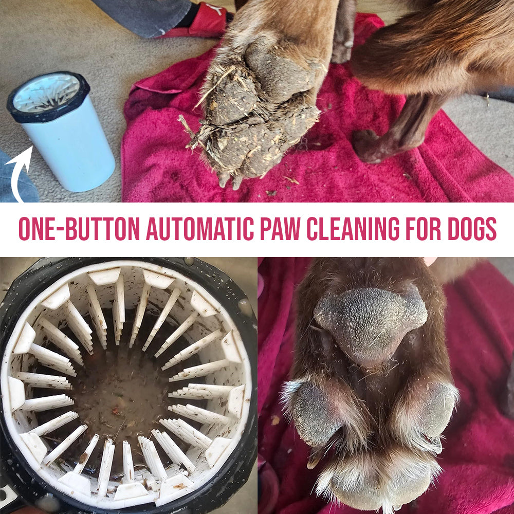 Automatic Dog Paw Cleaner